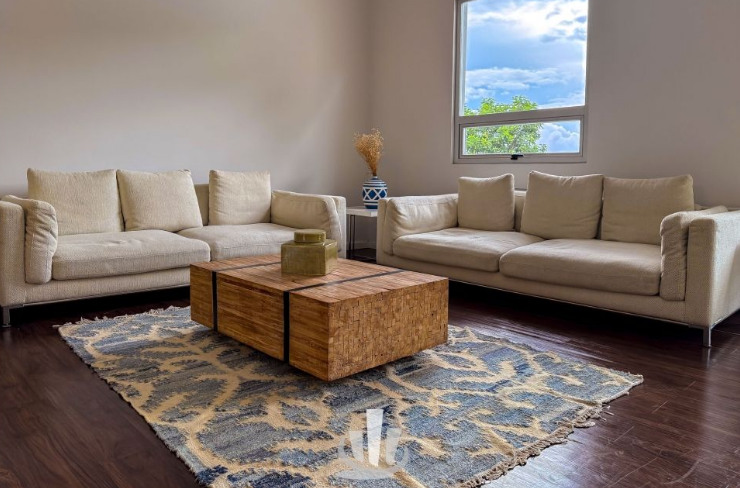 APARTAMENTO EN VENTA SAN RAFAEL DE ESCAZU (12)