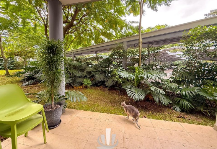 APARTAMENTO EN VENTA SAN RAFAEL DE ESCAZU (6)