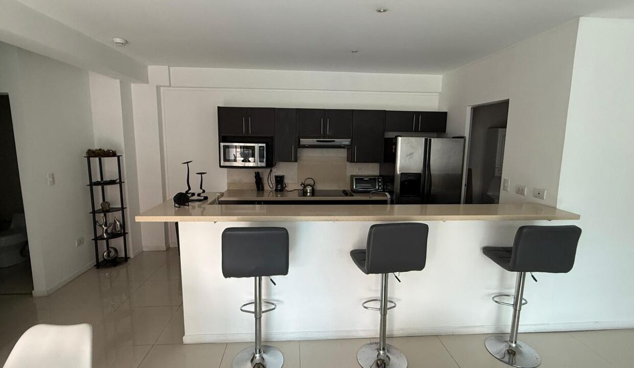CONDOMINIO EUROLOFT NUEVA (3)