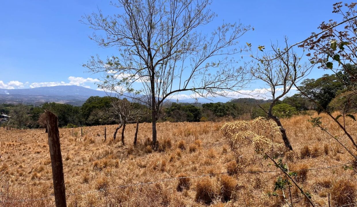 LOTE EN VENTA - CALLE LA GRANJA ATENAS (2)