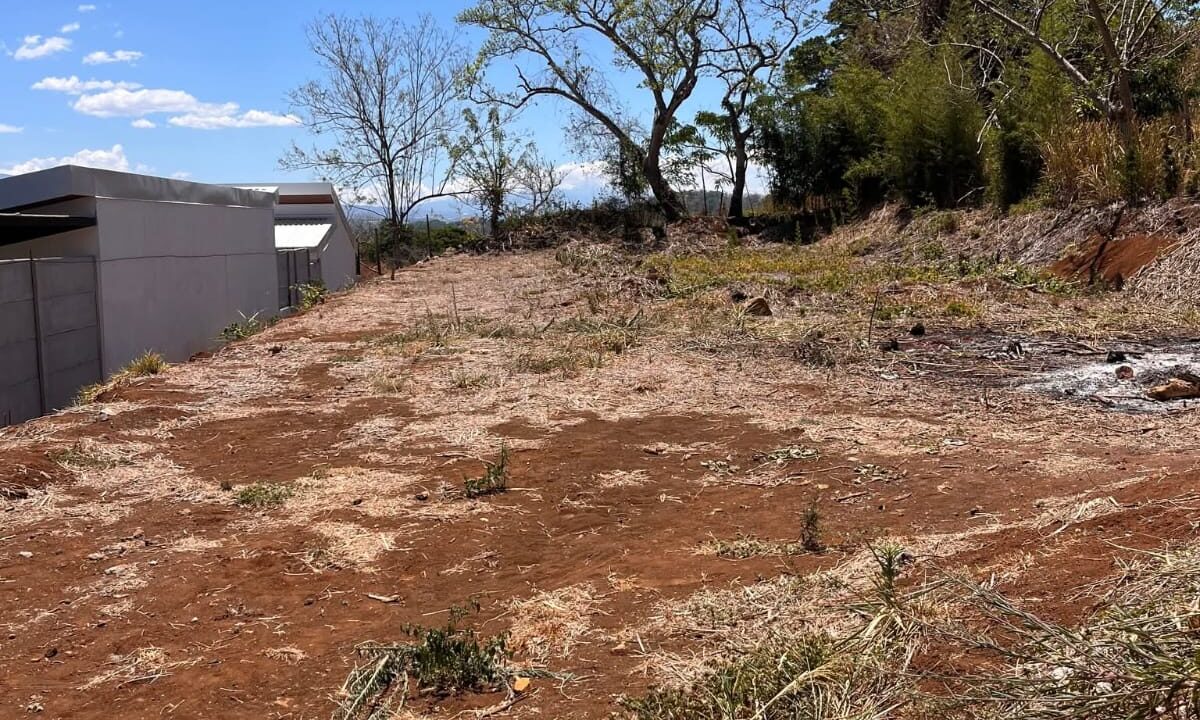 LOTE EN VENTA - CALLE LA GRANJA ATENAS (5)