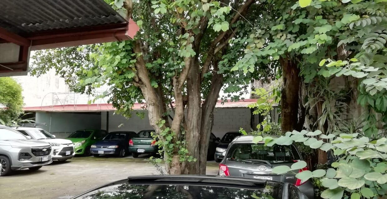 PROPIEDAD SAN JOSE BARRIO LA PITAHAYA USO COMERCIAL (9)