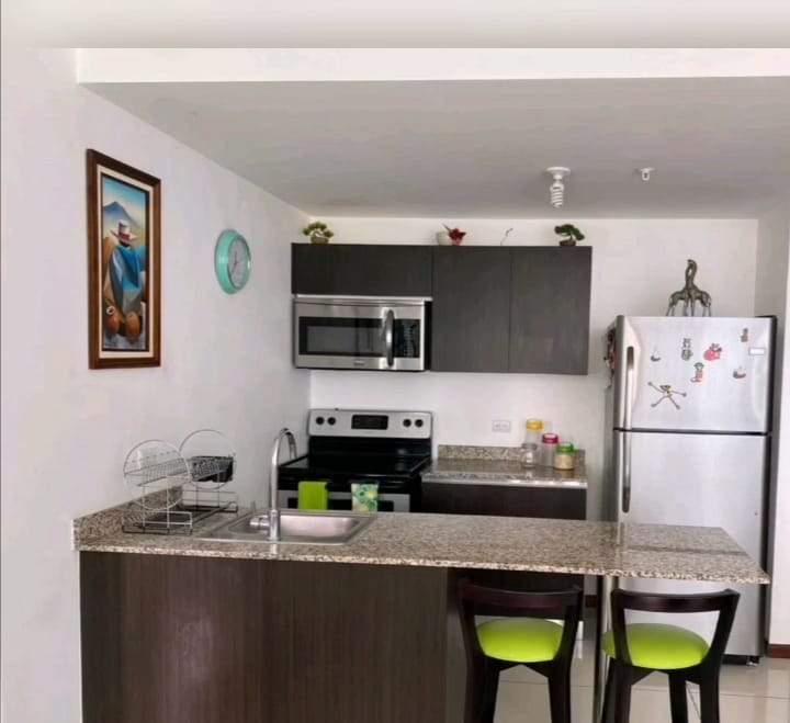 VENTA DE APARTAMENTO BAMBÚ ECO URBANO (5)