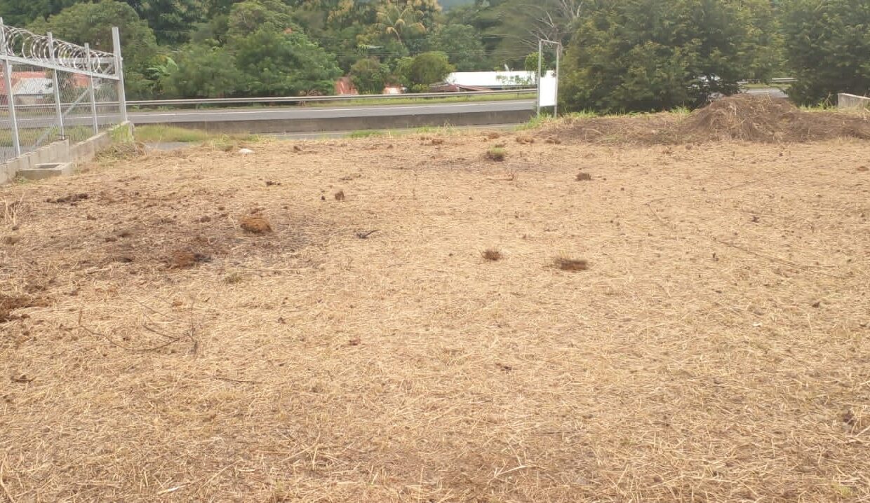 VENTA DE LOTE ATENAS (5)